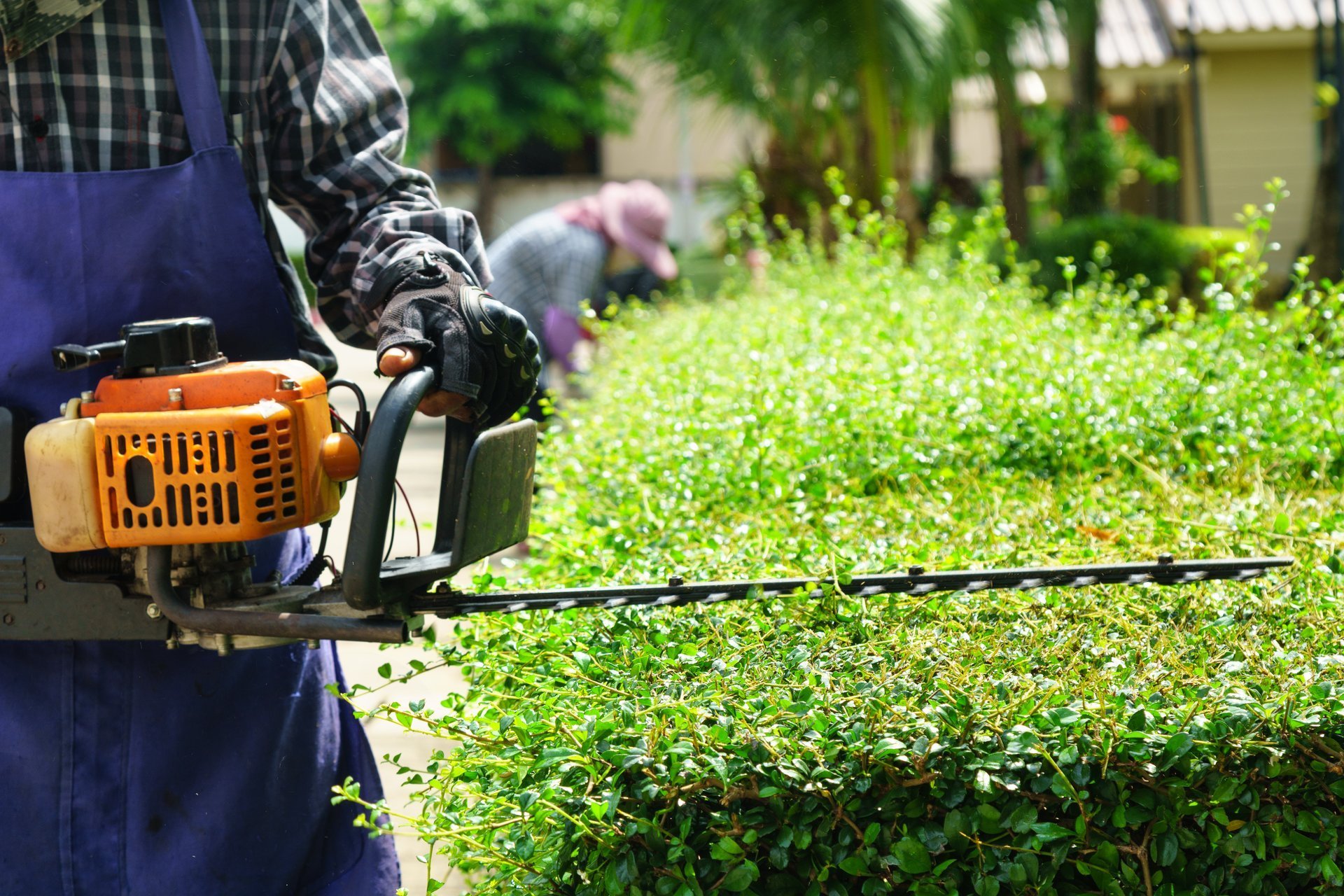 Landscape maintenance