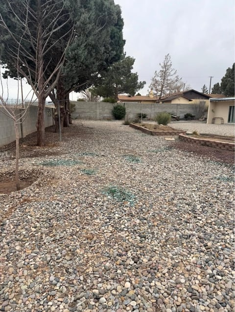 Residential yard with gravel ground, bare trees, and single-story house with fence in background on overcast day